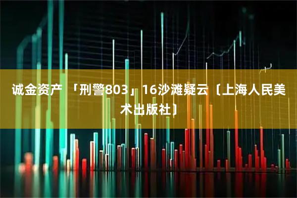 诚金资产 「刑警803」16沙滩疑云〔上海人民美术出版社〕