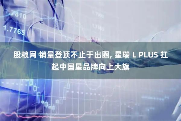 股粮网 销量登顶不止于出圈, 星瑞 L PLUS 扛起中国星品牌向上大旗