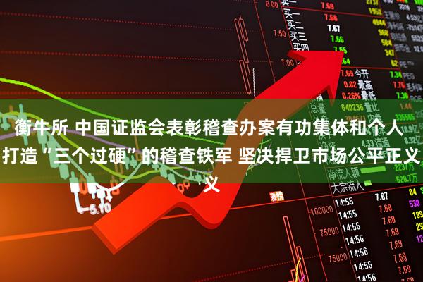 衡牛所 中国证监会表彰稽查办案有功集体和个人 打造“三个过硬”的稽查铁军 坚决捍卫市场公平正义
