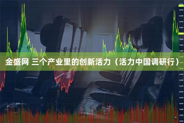 金盛网 三个产业里的创新活力（活力中国调研行）